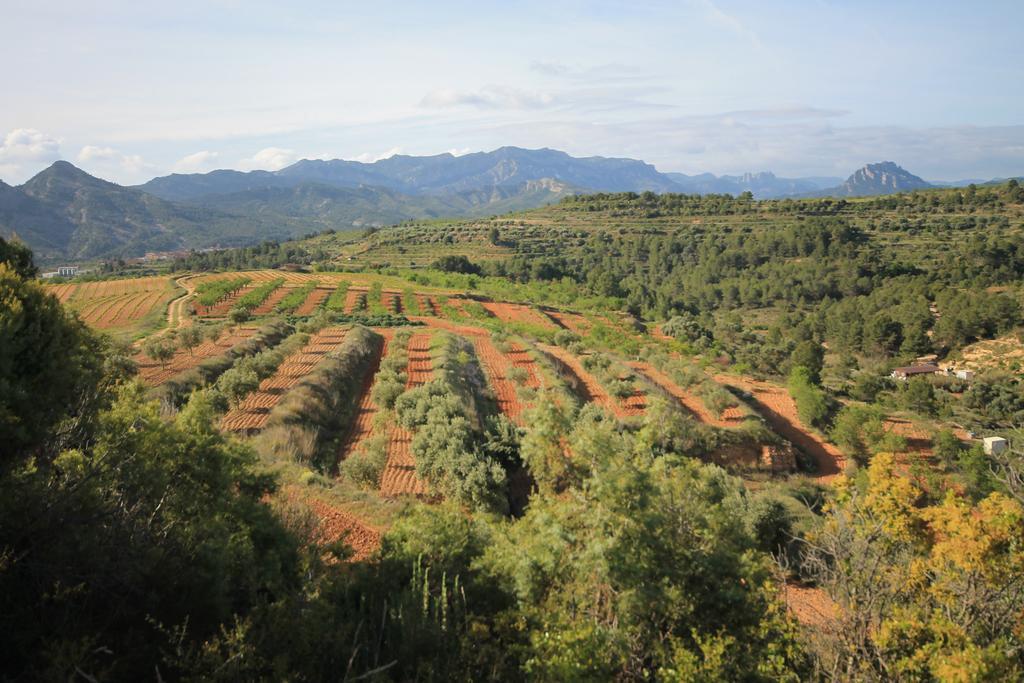 Cal Tomas, Ecoturisme Terra Alta Pension Bot Buitenkant foto